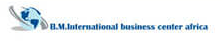 bminternational Logo